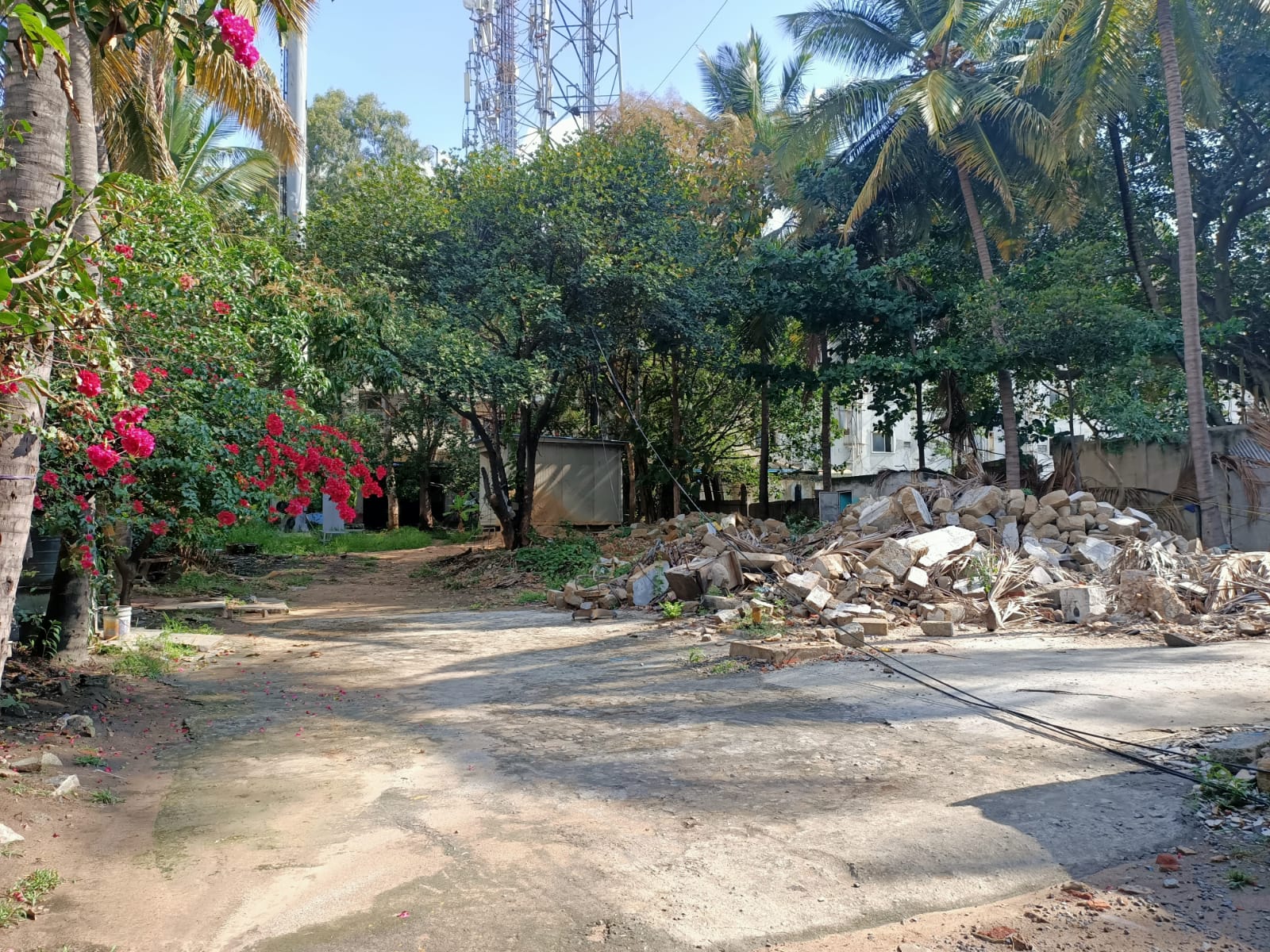 Internal open area with vegetation and debris